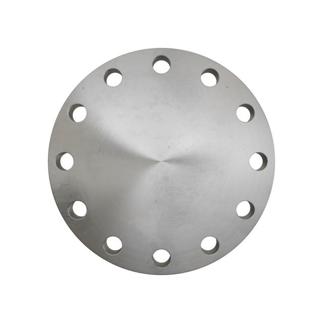 Flanges, Edelstahl, EN 1092-1, Blindflansch, T:05, PN40, A, DN200, AISI316L, 1.4404, 