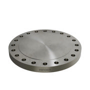 Flanges, Rustfri, ASME B16.5, Blindflange, 300 lbs, RF, 16", AISI316L, 1.4404
