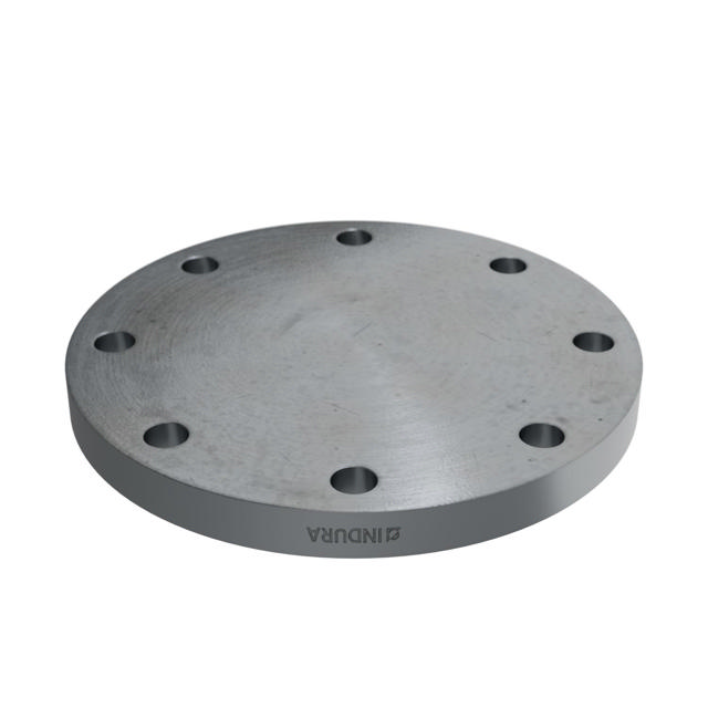 Flanges, HDG, Sort, EN 1092-1, Blindflange, T:05, PN10-16, A, DN125, P250GH, 1.0460, 