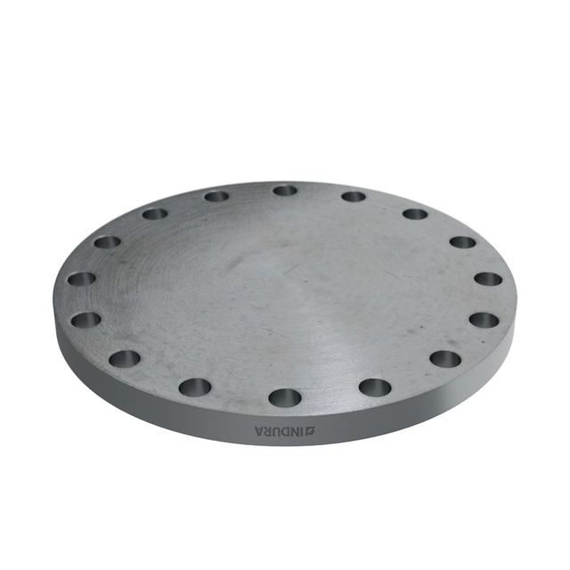 Flanges, HDG, Sort, EN 1092-1, Blindflange, T:05, PN25, A, DN300, P250GH, 1.0460, 