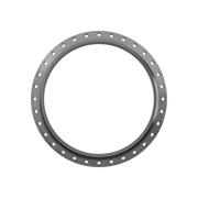 Flanges, Sort, EN 1092-1, Halsflange, T:11, PN10, B1, DN1200, 1219,0, P250GH, 1.0460, 
