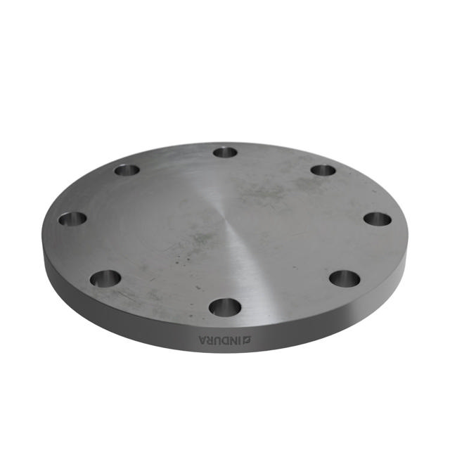 Flanges, Kohlenstoffstahl, EN 1092-1, Blindflansch, T:05, PN10-16, A, DN150, S235JR, 1.0038,