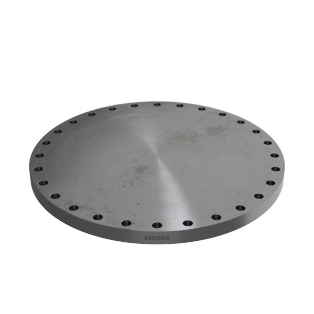 Flanges, Kohlenstoffstahl, EN 1092-1, Blindflansch, T:05, PN16, A, DN1000, P250GH, 1.0460,