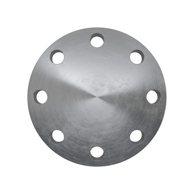 Flanges, Kohlenstoffstahl, EN 1092-1, Blindflansch, T:05, PN63, B2, DN125, P250GH, 1.0460,