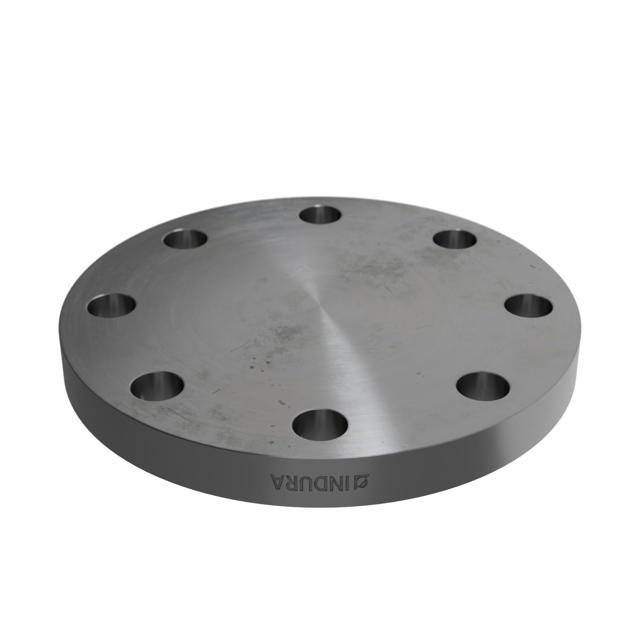Flanges, Kohlenstoffstahl, EN 1092-1, Blindflansch, T:05, PN25-40, A, DN100, LF2 CL1-SA/A105N-P280GH,